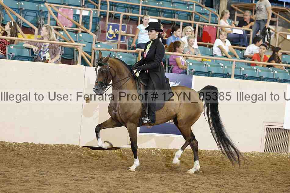 Proof 12yn_05385
