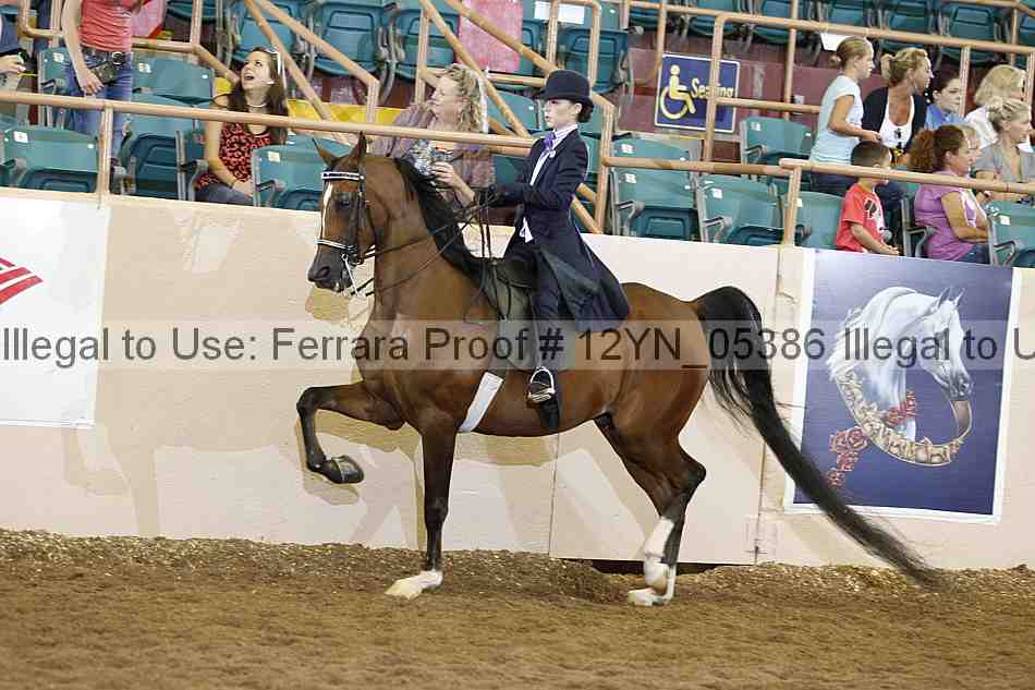 Proof 12yn_05386