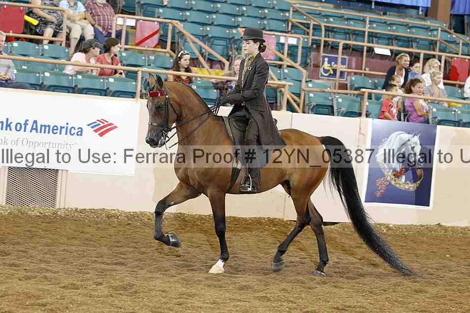 Proof 12yn_05387