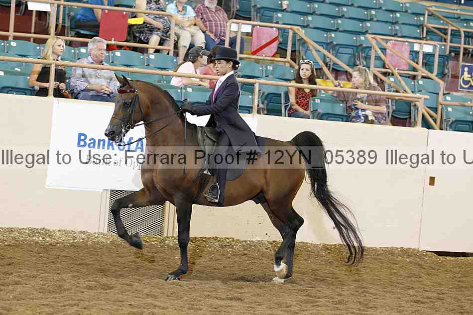 Proof 12yn_05389