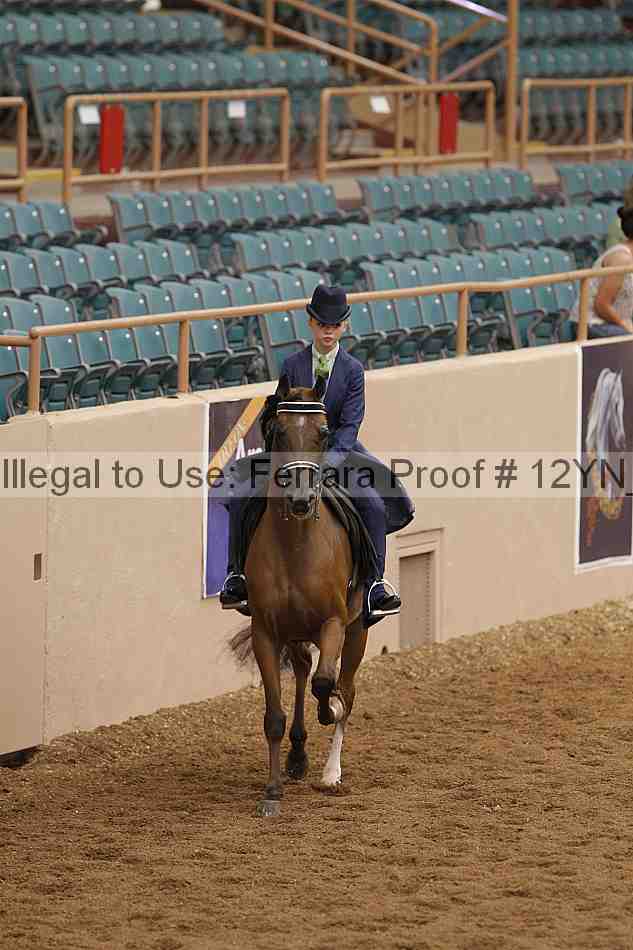 Proof 12yn_05390