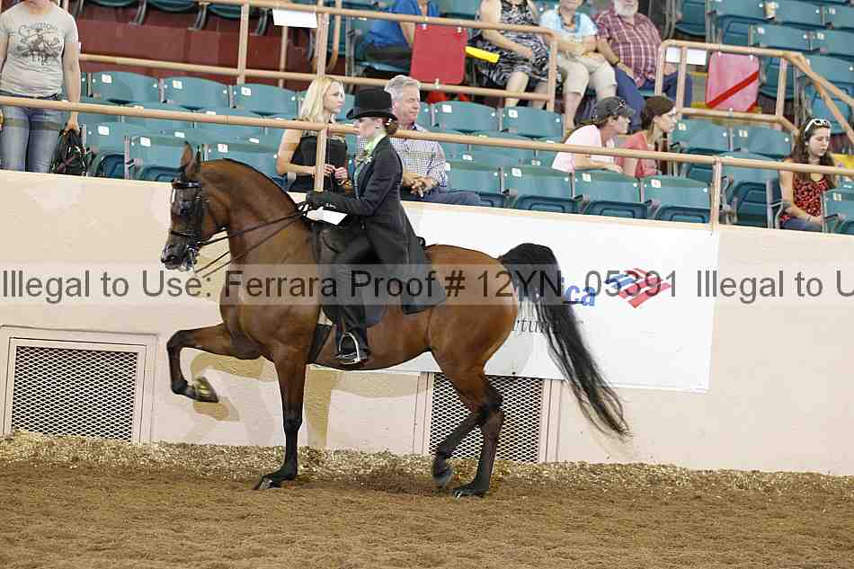 Proof 12yn_05391