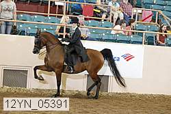 12yn_05391 proof