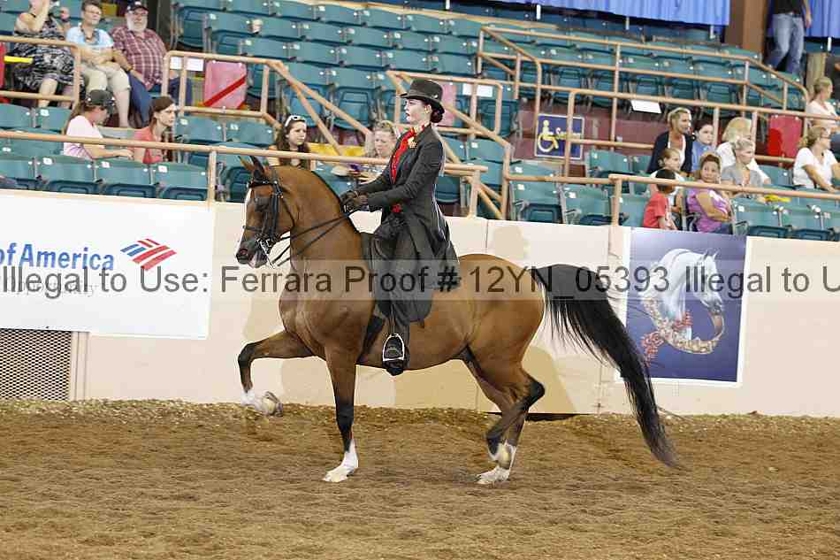 Proof 12yn_05393
