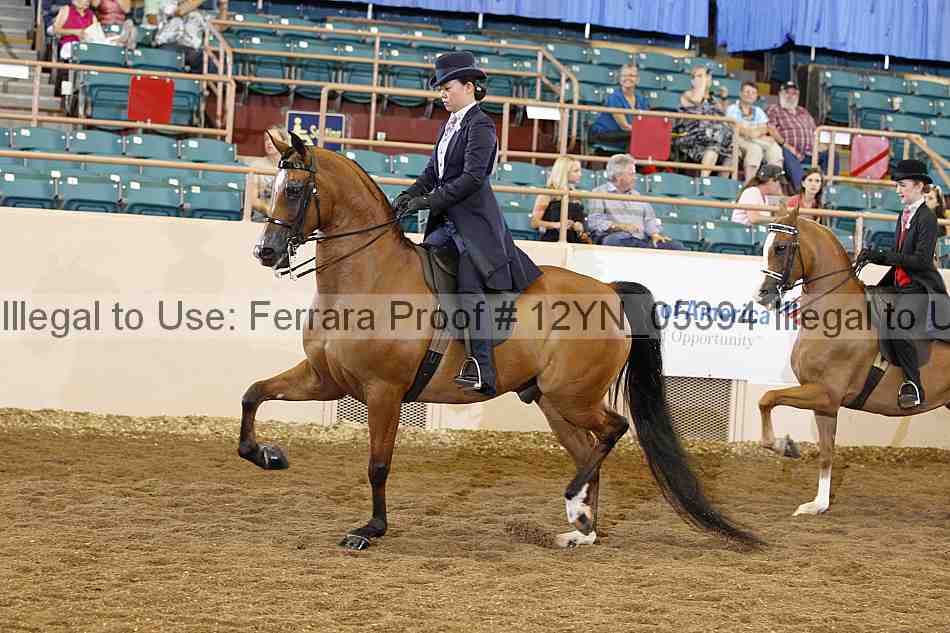 Proof 12yn_05394