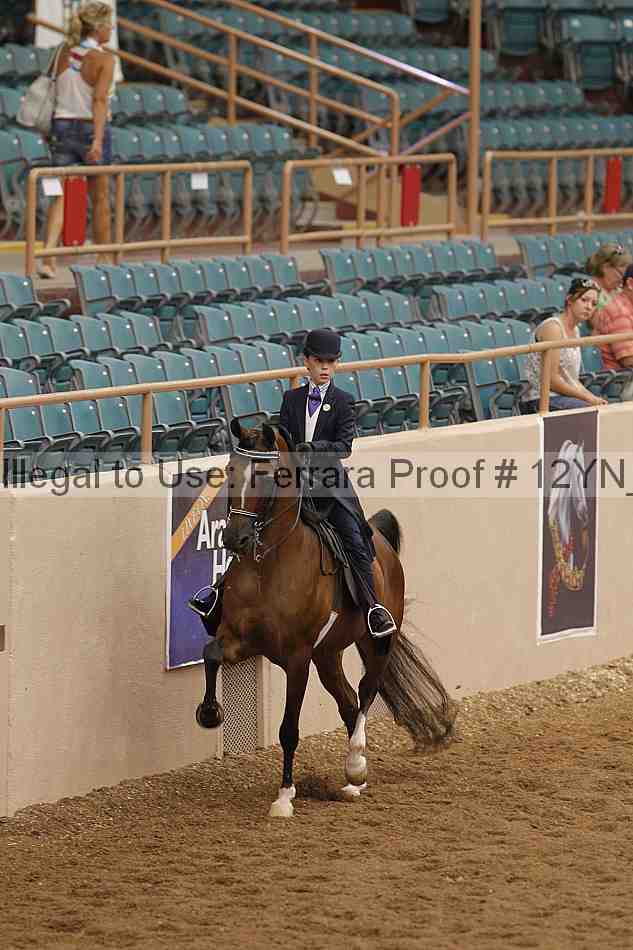 Proof 12yn_05395