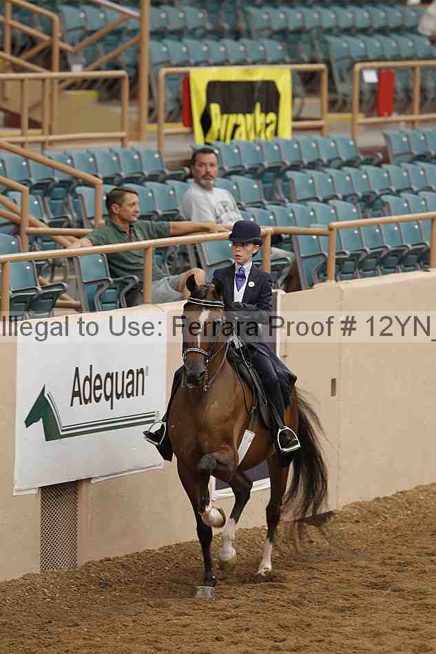 Proof 12yn_05396