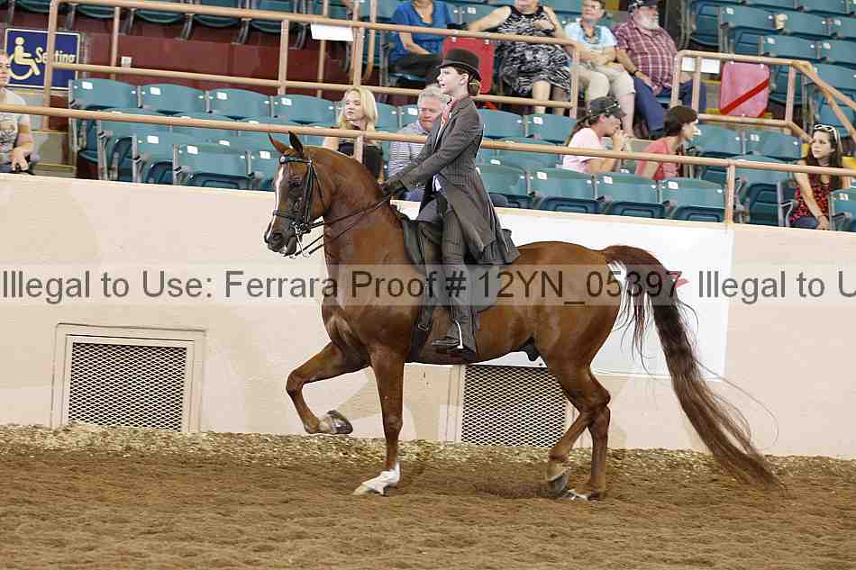Proof 12yn_05397