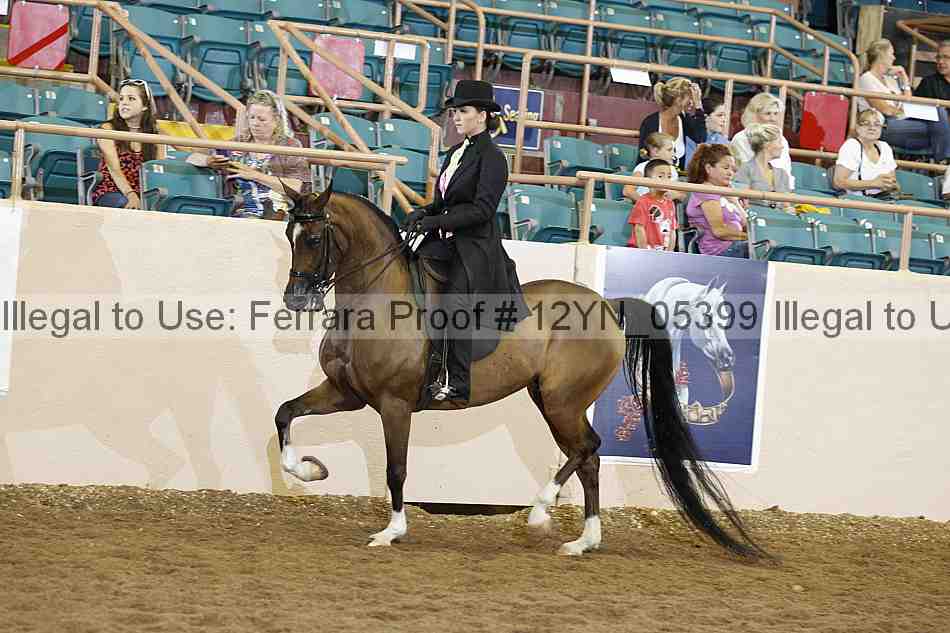 Proof 12yn_05399