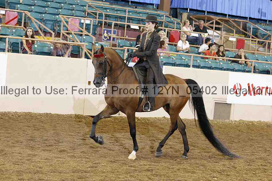 Proof 12yn_05402