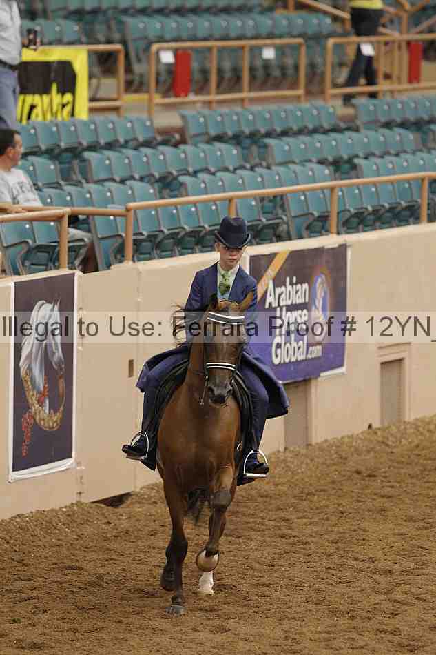 Proof 12yn_05403
