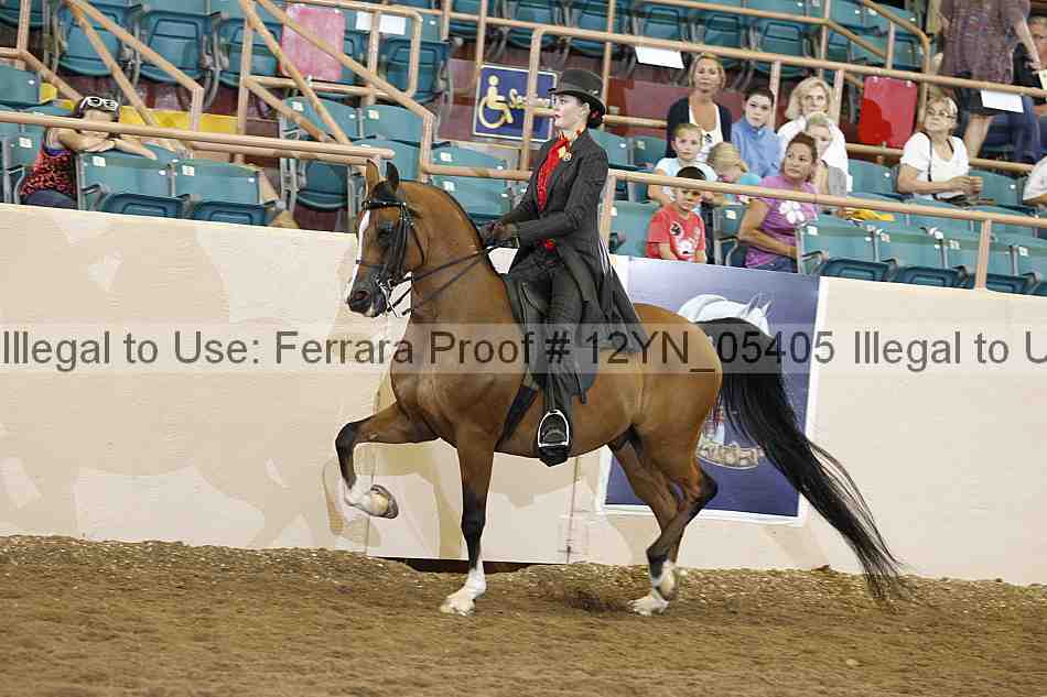 Proof 12yn_05405