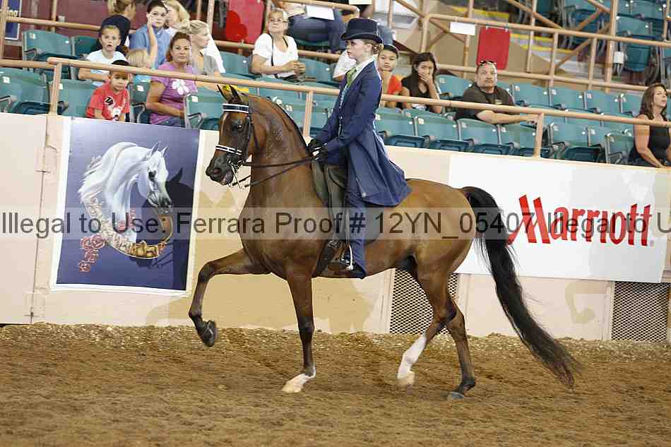 Proof 12yn_05407