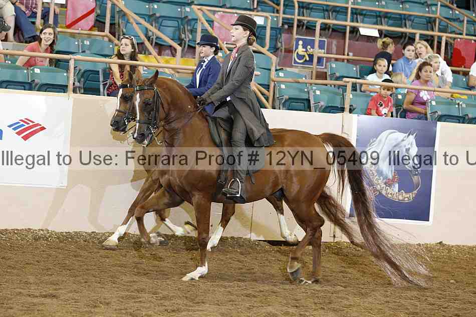 Proof 12yn_05409