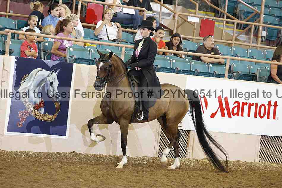 Proof 12yn_05411