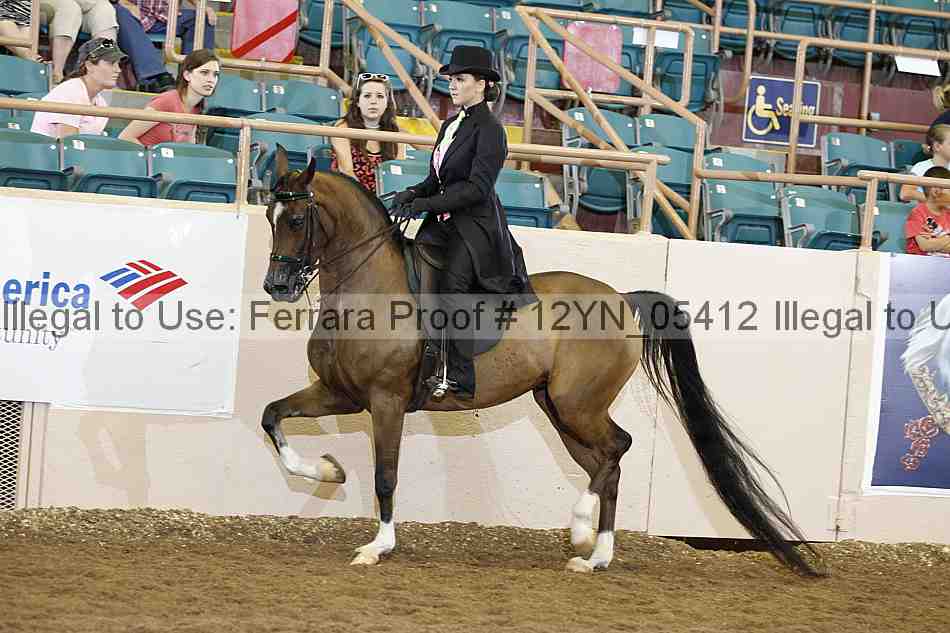 Proof 12yn_05412