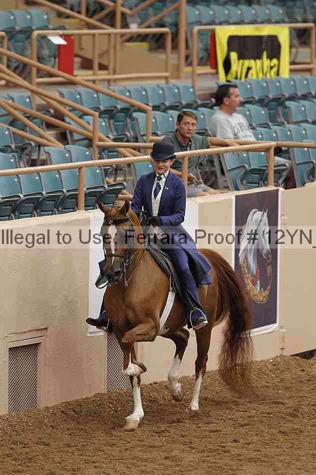 Proof 12yn_05414