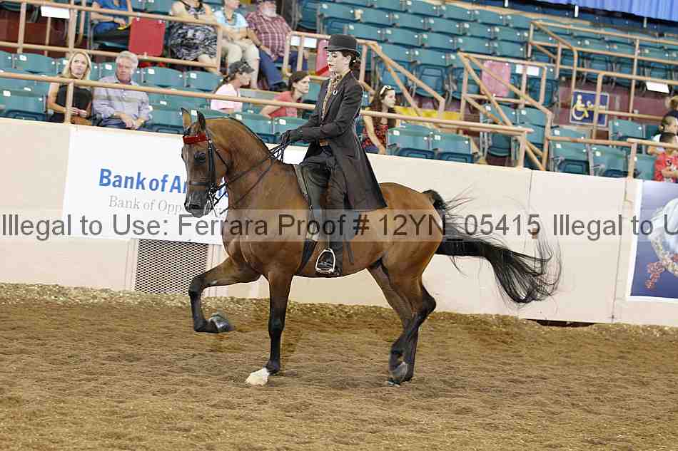 Proof 12yn_05415