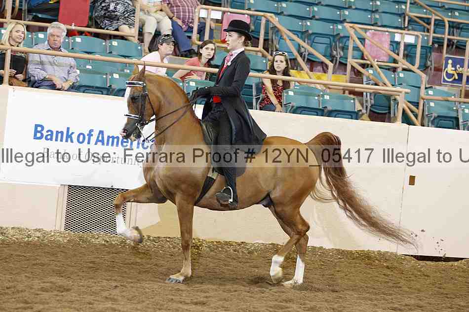 Proof 12yn_05417