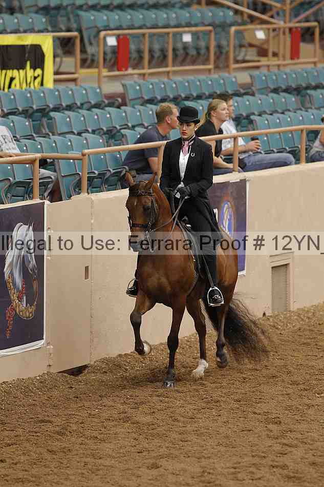 Proof 12yn_05419