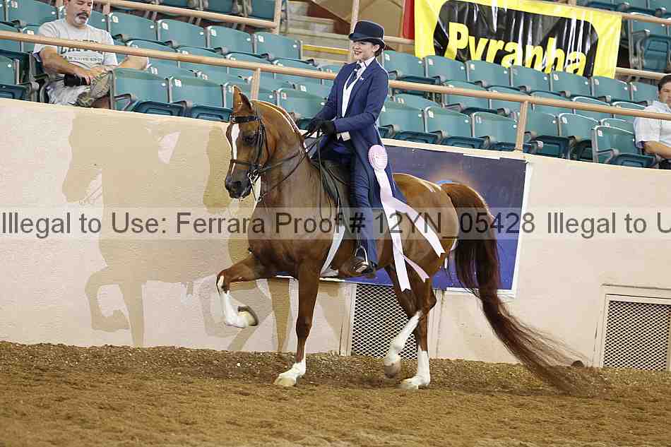 Proof 12yn_05428