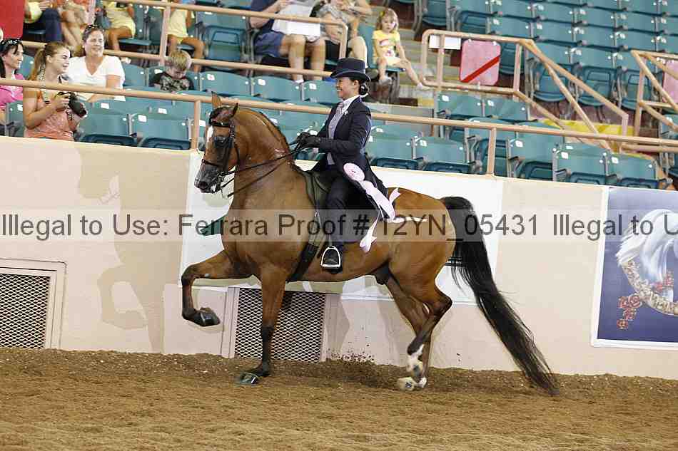 Proof 12yn_05431