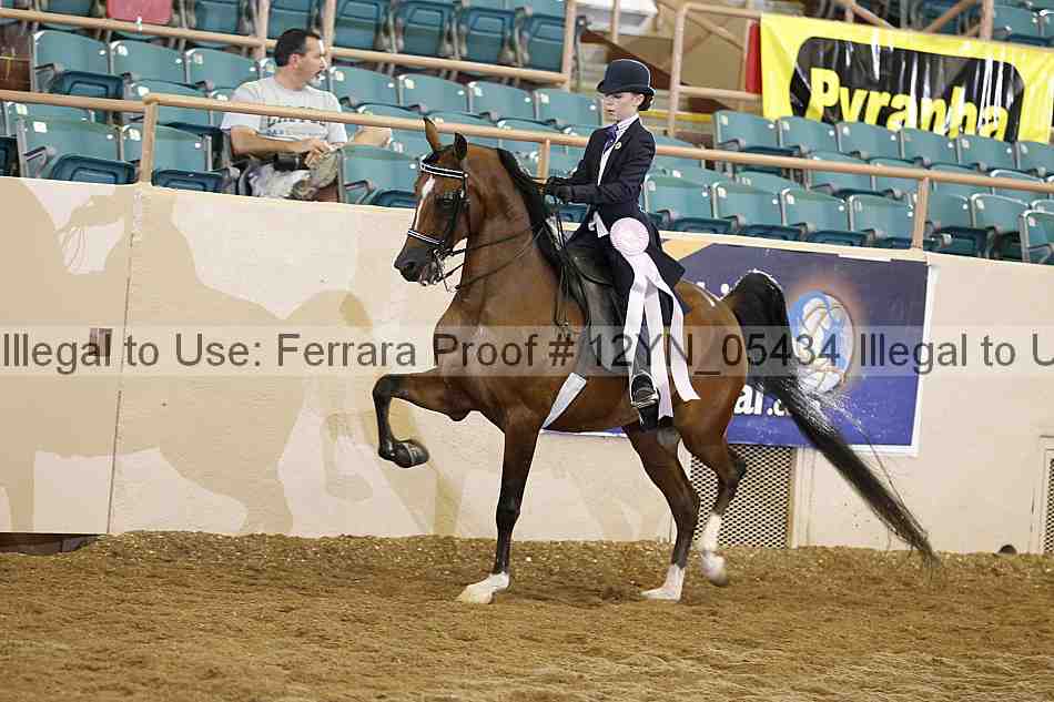 Proof 12yn_05434