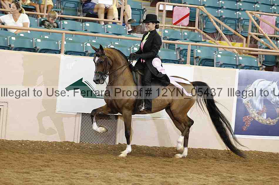 Proof 12yn_05437