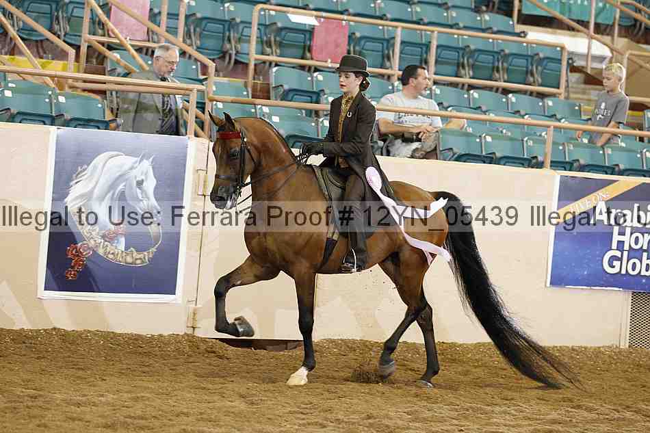 Proof 12yn_05439