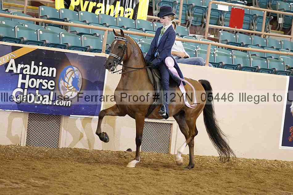 Proof 12yn_05446