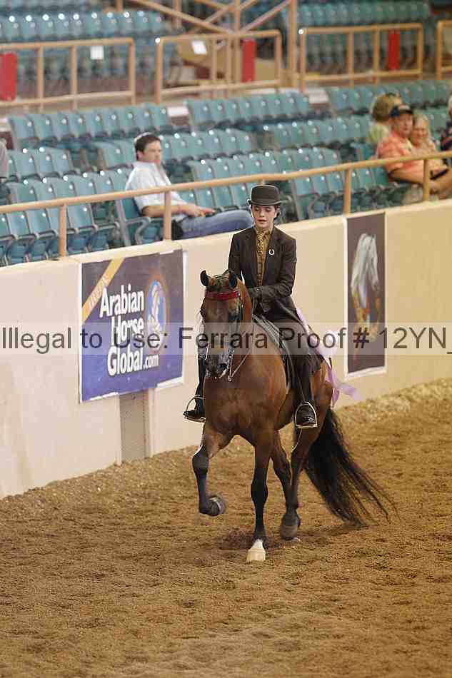 Proof 12yn_05447