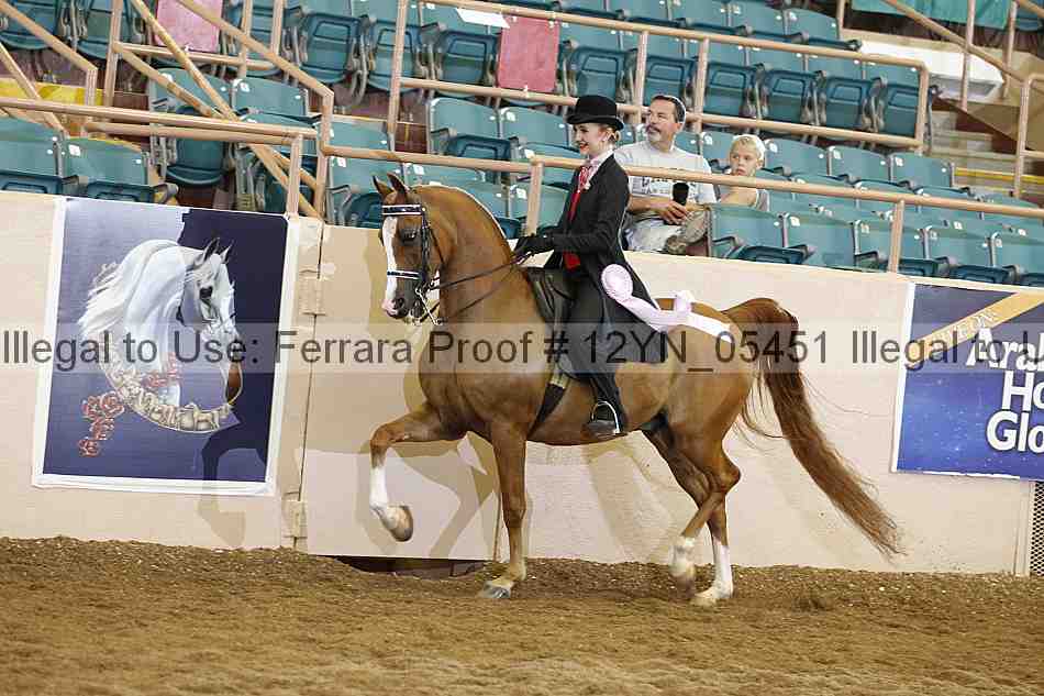 Proof 12yn_05451