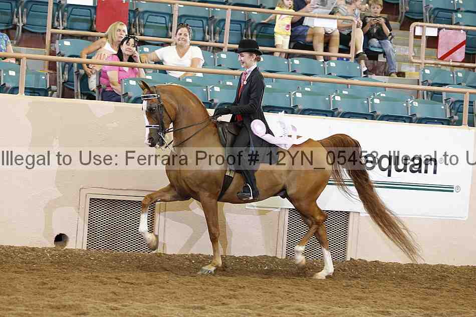 Proof 12yn_05453