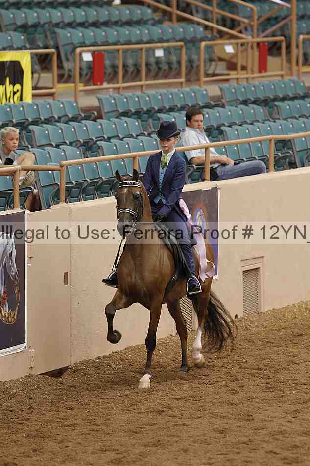 Proof 12yn_05454