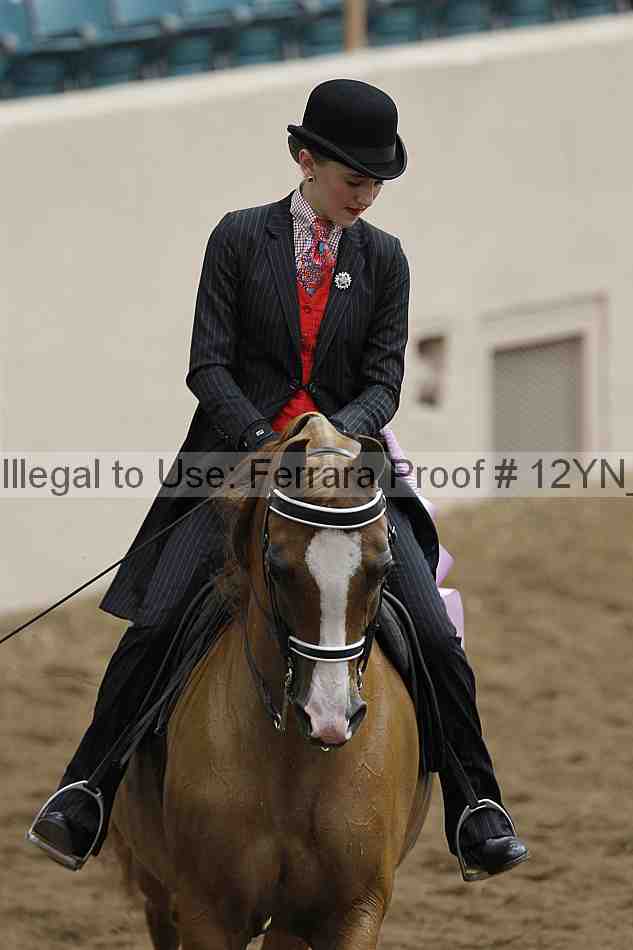 Proof 12yn_05458