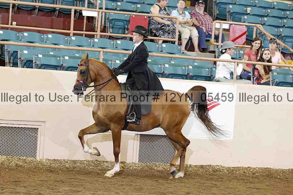 Proof 12yn_05459