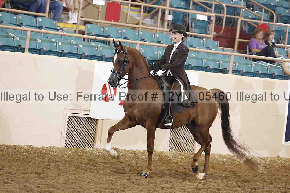 Proof 12yn_05460