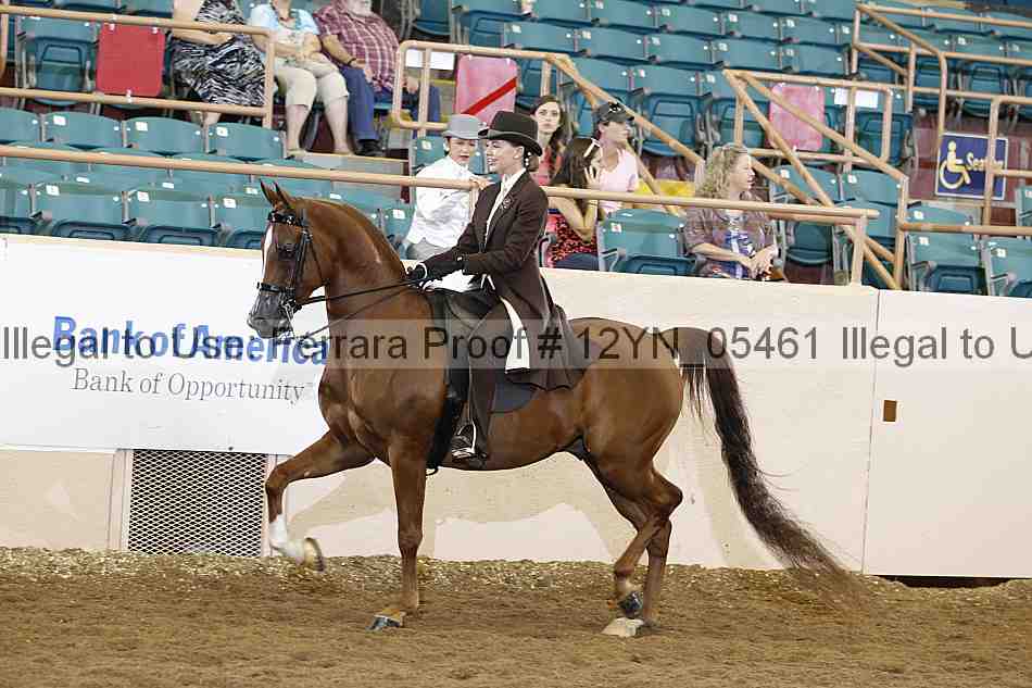 Proof 12yn_05461