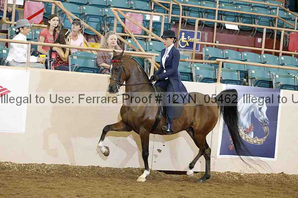 Proof 12yn_05462