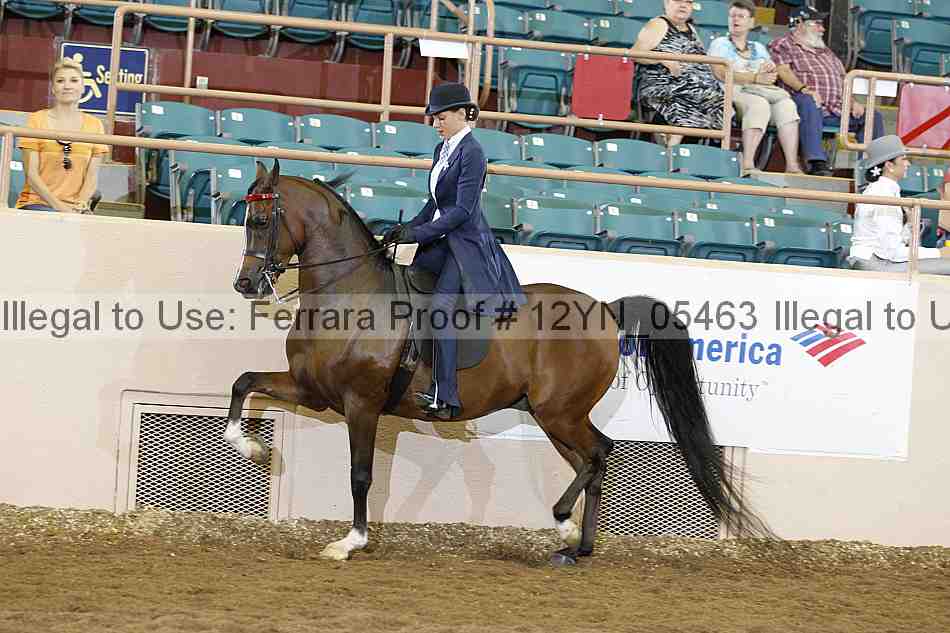 Proof 12yn_05463