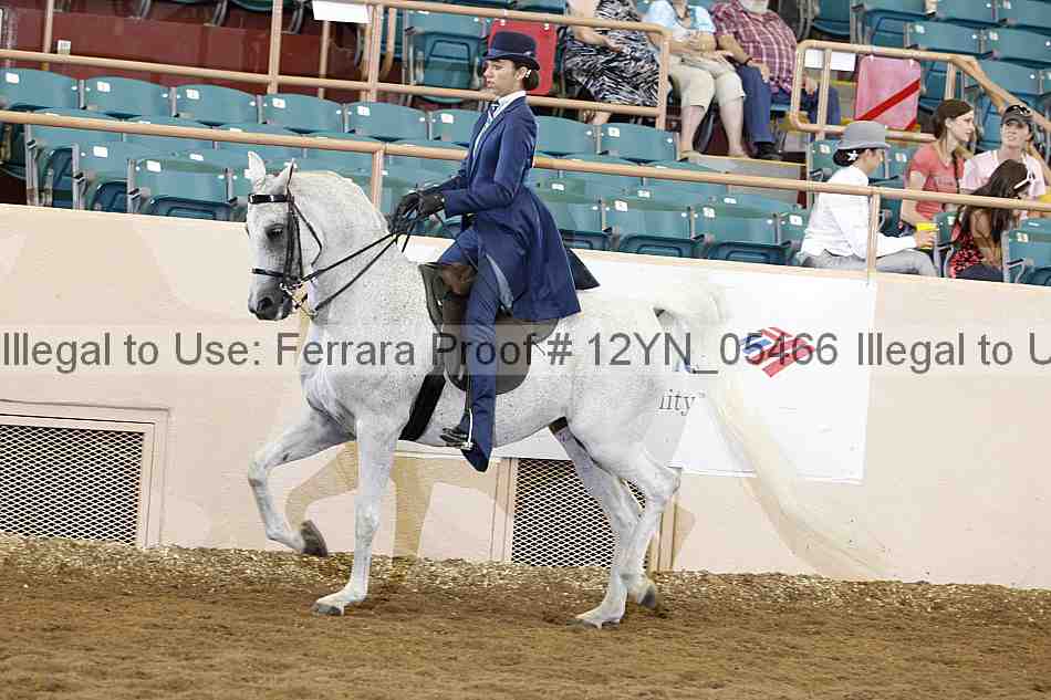Proof 12yn_05466
