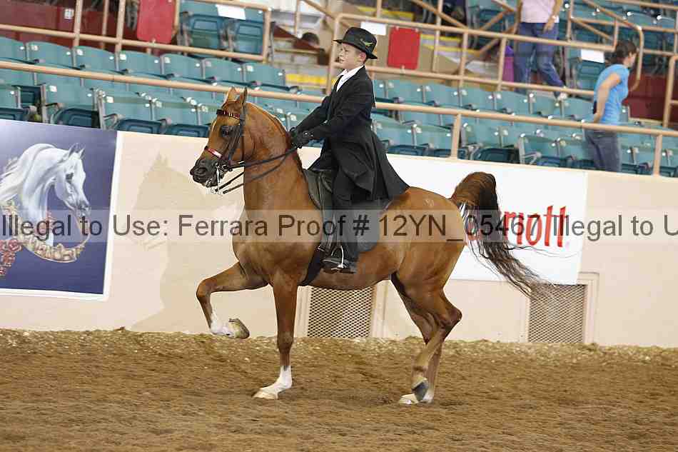 Proof 12yn_05467
