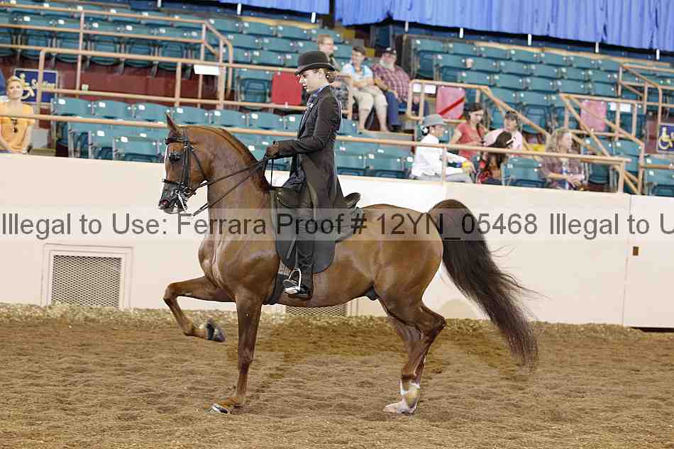 Proof 12yn_05468