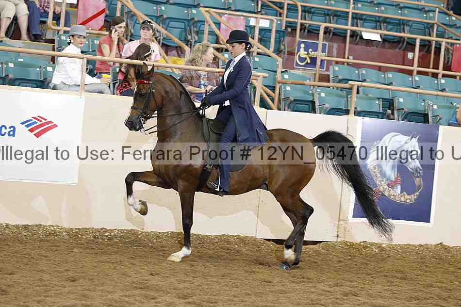 Proof 12yn_05470