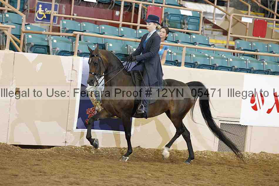 Proof 12yn_05471
