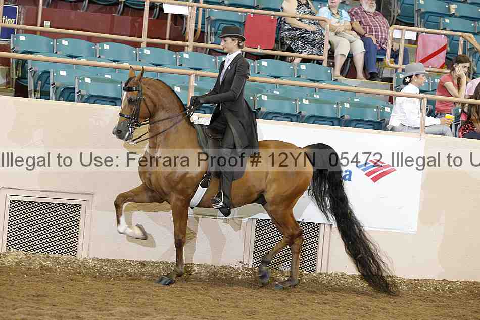 Proof 12yn_05472
