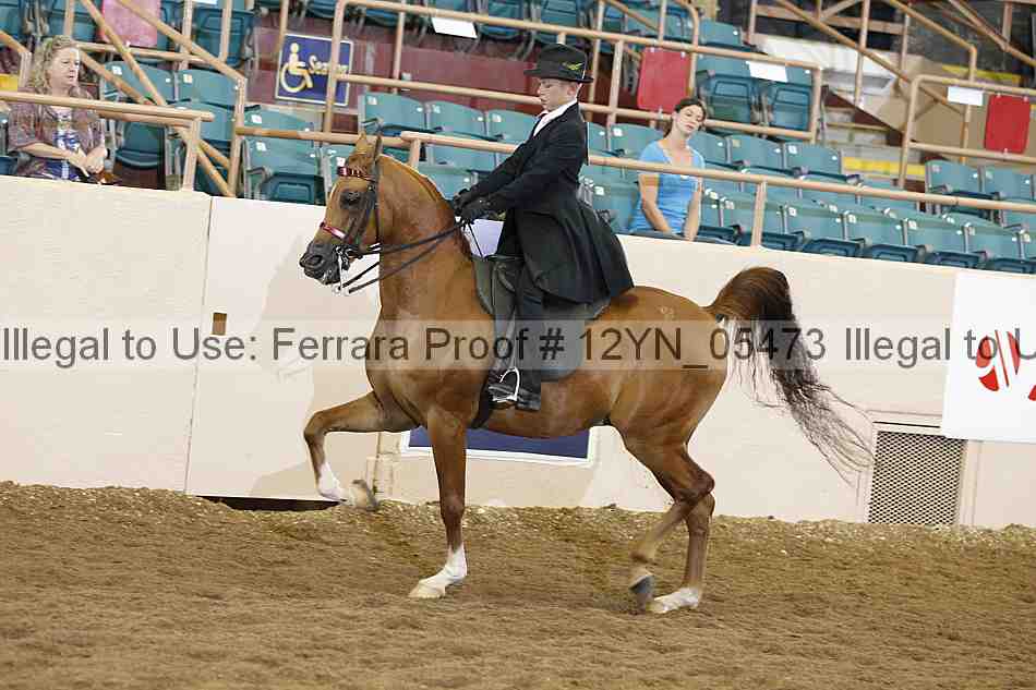Proof 12yn_05473
