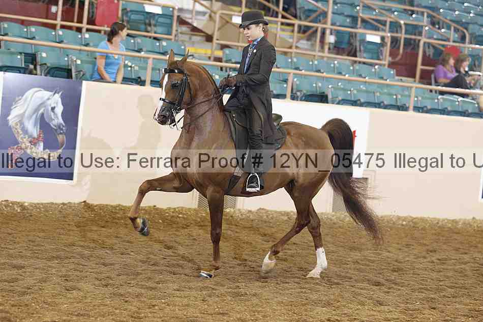 Proof 12yn_05475