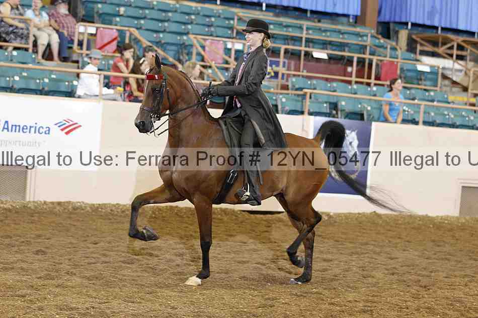 Proof 12yn_05477
