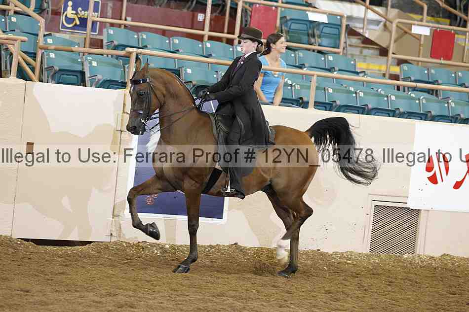 Proof 12yn_05478